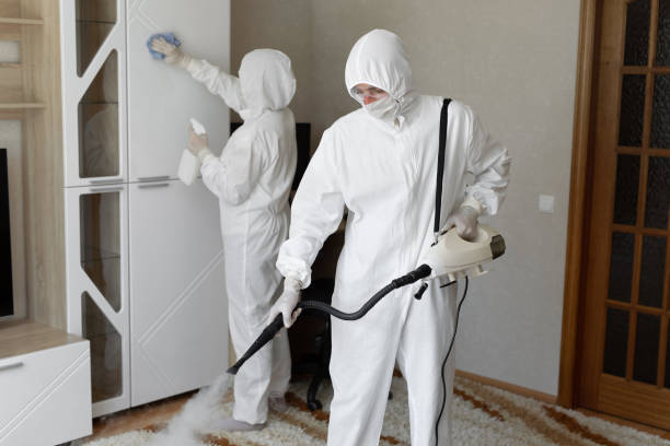 Best Black Mold Removal  in Genesee, ID