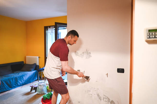 Best Emergency Mold Removal  in Genesee, ID