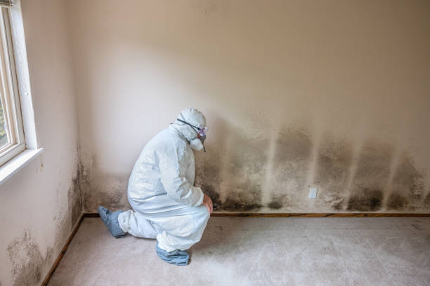 Best Mold Testing  in Genesee, ID